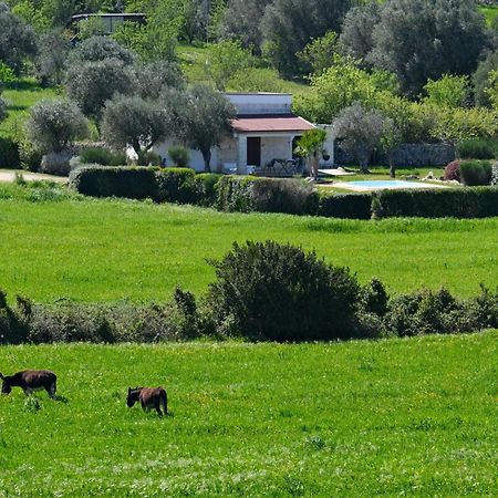 Terra Sessana Ville E Trullo Con Piscina Privata Ostuni Ngoại thất bức ảnh